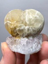 Load image into Gallery viewer, Rare Botryoidal Yellow Fluorite on Quartz Matrix Collector Mineral Specimen – Maharashtra, India