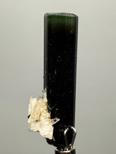 Load image into Gallery viewer, Dark Green Cap Stak Nala Tourmaline and Cleavelandite – Haramosh Mountains, Pakistan | Thumbnail Specimen