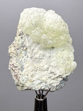 Load image into Gallery viewer, Vibrant Yellow Brucite Thumbnail Mineral Specimen | Collector Crystal from Killa Saifullah District in Balochistan Province, Pakistan