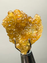 Load image into Gallery viewer, Hessonite Garnet Cluster on Matrix – Thumbnail Collector Specimen from Pakistan | High-Grade Orange-Red Garnet Crystals