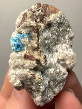 Load image into Gallery viewer, Rare Electric Blue Cavansite on Druzy Matrix – Collector Mineral Specimen | India