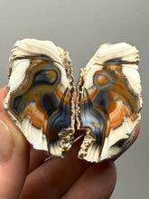 Load image into Gallery viewer, Premium Sumatra Agate Pair (Banded Chalcedony) Display Specimen | Indonesia