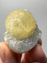 Load image into Gallery viewer, Rare Botryoidal Yellow Fluorite on Quartz Matrix Collector Mineral Specimen – Maharashtra, India