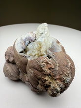 Load image into Gallery viewer, Hyalite Opal on Matrix • San Felipe Mine, Guanajuato, Mexico