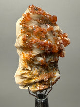 Load image into Gallery viewer, Natural Vanadinite on Matrix | Collector Mineral Specimen | Morocco