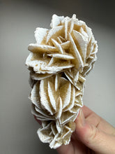 Load image into Gallery viewer, Desert Rose Selenite (Gypsum) — Mineral Display Specimen | Mexico