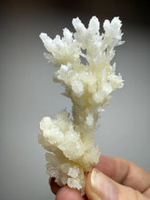 Load image into Gallery viewer, High-Grade Coral Aragonite Crystal Specimen – Wenshan Mine, Yunnan, China