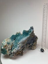 Load image into Gallery viewer, Grape Agate from Indonesia • Mineral Collector’s Showpiece Specimen