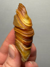 Load image into Gallery viewer, Naturally Sand-Chiseled Gobi Eye Agate | Inner Mongolia Desert Sculpted Specimen