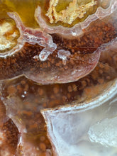 Load image into Gallery viewer, High-Grade Turkish Agate with Botryoidal Chalcedony Vug – Rare Collector’s Gem