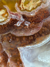 Load image into Gallery viewer, High-Grade Turkish Agate with Botryoidal Chalcedony Vug – Rare Collector’s Gem