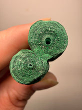 Load image into Gallery viewer, 3.5” Druzy Malachite Stalactite — Botryoidal “Cave” Formation | DR Congo | Collector Mineral Specimen