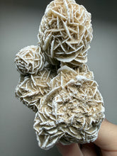 Load image into Gallery viewer, Desert Rose Selenite (Gypsum) — Mineral Display Specimen | Mexico