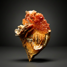 Load image into Gallery viewer, Natural Vanadinite on Matrix | Collector Mineral Specimen | Morocco