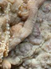 Load image into Gallery viewer, Chalcedony Quartz Rose Agate Collector Mineral Specimen – Morocco