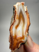 Load image into Gallery viewer, High-Grade Indonesian Sumatra Agate Pair – Vibrant Banded Chalcedony with Rich Color Zoning | Ethical Lapidary & Collector Display Specimens