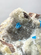 Load image into Gallery viewer, Rare Electric Blue Pentagonite on Druzy Matrix – Collector Mineral Specimen | India