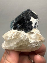 Load image into Gallery viewer, Blue Cap Tourmaline on Quartz Specimen – Pakistan