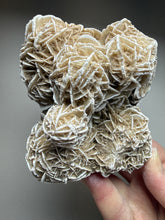 Load image into Gallery viewer, Desert Rose Selenite (Gypsum) — Mineral Display Specimen | Mexico