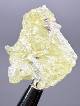 Load image into Gallery viewer, Vibrant Yellow Brucite Thumbnail Mineral Specimen | Collector Crystal from Killa Saifullah District in Balochistan Province, Pakistan