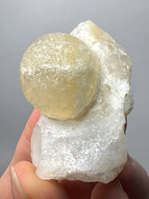 Load image into Gallery viewer, Rare Botryoidal Yellow Fluorite on Quartz Matrix Collector Mineral Specimen – Maharashtra, India