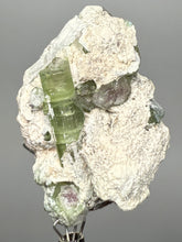 Load image into Gallery viewer, Watermelon Tourmaline on Matrix – Collector Mineral Specimen from Pakistan