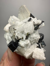 Load image into Gallery viewer, Dark Green Cap Stak Nala Tourmaline on Cleavelandite Matrix – Haramosh Mountains, Pakistan