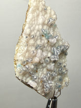 Load image into Gallery viewer, Blue-Green Chrysocolla in Botryoidal Chalcedony Cabinet Specimen | Indonesia