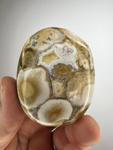 Load image into Gallery viewer, Cobra Jasper Palm Stone from India • High Grade