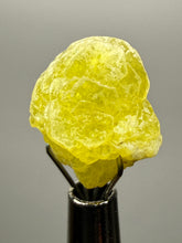 Load image into Gallery viewer, Vibrant Yellow Brucite Thumbnail Mineral Specimen | Collector Crystal from Killa Saifullah District in Balochistan Province, Pakistan