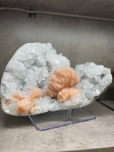 Load image into Gallery viewer, FINE MINERAL | Gem Apophyllite with Spectacular Pink Stilbite Flower | Maharashtra, India