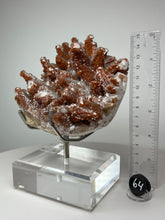 Load image into Gallery viewer, Red Phantom Pagoda Tower Calcite from Hubei Province, China • High Grade High Shine • Stand Included • Mineral Collector’s Showpiece