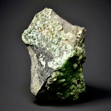 Load image into Gallery viewer, High-Grade Green Wavellite Collectors Specimen - Radiating Botryoidal Crystal Formation - Arkansas, USA