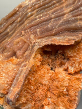 Load image into Gallery viewer, Chalcedony Quartz Rose Agate Collector Mineral Specimen – Morocco