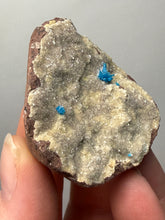 Load image into Gallery viewer, Rare Electric Blue Pentagonite on Druzy Matrix – Collector Mineral Specimen | India