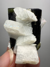 Load image into Gallery viewer, Blue and Green Cap Stak Nala Tourmaline w Double Terminated Quartz on Cleavelandite Matrix – Haramosh Mountains, Pakistan