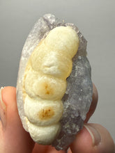 Load image into Gallery viewer, Rare Botryoidal Yellow Fluorite on Quartz Matrix Collector Mineral Specimen – Maharashtra, India