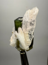 Load image into Gallery viewer, Deep Green Stak Nala Tourmaline with Cleavelandite – Haramosh Mountains, Pakistan | Thumbnail Specimen