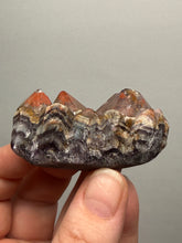 Load image into Gallery viewer, Premium Hematite-Phantom Deep Magenta Ametrine Cluster | Deccan Traps, India | Collector Mineral Specimen