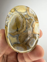 Load image into Gallery viewer, Cobra Jasper Palm Stone from India • High Grade