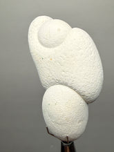 Load image into Gallery viewer, Chichaoua Menalite “Fairy Stone” Concretion | Natural Collector Display Specimen | Morocco