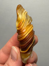 Load image into Gallery viewer, Naturally Sand-Chiseled Gobi Eye Agate | Inner Mongolia Desert Sculpted Specimen