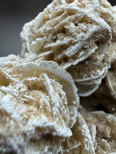 Load image into Gallery viewer, Desert Rose Selenite (Gypsum) — Mineral Display Specimen | Mexico