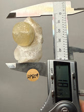 Load image into Gallery viewer, Rare Botryoidal Yellow Fluorite on Quartz Matrix Collector Mineral Specimen – Maharashtra, India