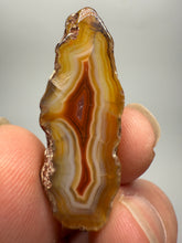 Load image into Gallery viewer, Lot of 4 Small Malawi Agate Halves – Polished Rare Colorful Collector Specimens