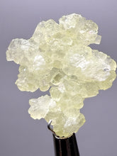 Load image into Gallery viewer, Vibrant Yellow Brucite Thumbnail Mineral Specimen | Collector Crystal from Killa Saifullah District in Balochistan Province, Pakistan