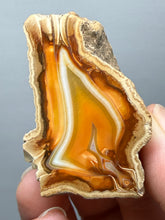 Load image into Gallery viewer, Premium Sumatra Agate (Banded Chalcedony) Display Specimen | Indonesia