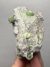 Load image into Gallery viewer, High-Grade Green Wavellite Collectors Specimen - Radiating Botryoidal Crystal Formation - Arkansas, USA