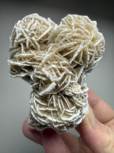 Load image into Gallery viewer, Desert Rose Selenite (Gypsum) — Mineral Display Specimen | Mexico
