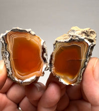 Load image into Gallery viewer, Indonesian Sumatra Agate Pair – Vibrant Banded Chalcedony with Rich Color Zoning | Ethical Lapidary & Collector Display Specimens